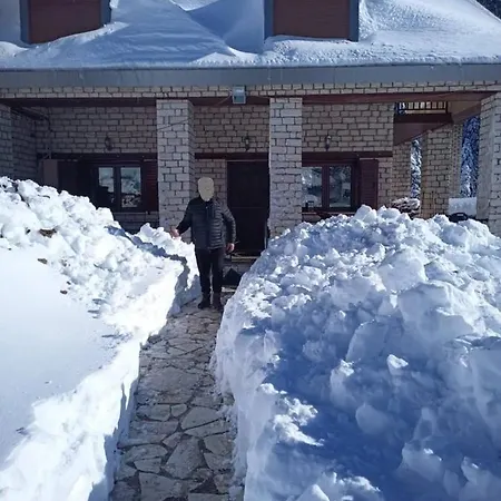 η βίλα στην ελάτη Villa Trikala (Thessaly)
