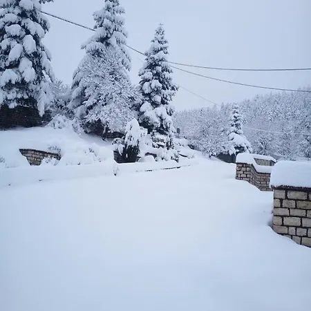 η βίλα στην ελάτη Villa